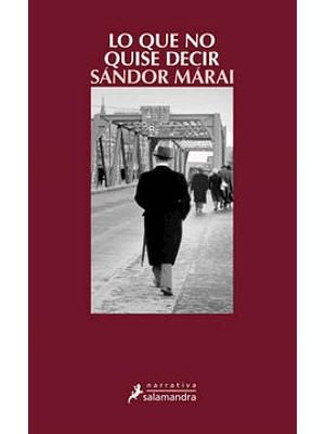 Lo Que No Quise Decir