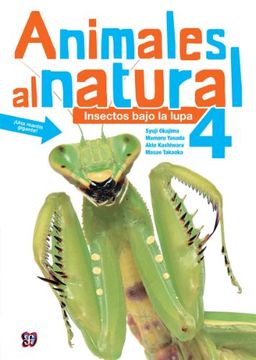 Animales Al Natural 4 Insectos Bajo La Lupa 1