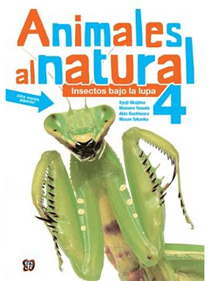 Animales Al Natural 4 Insectos Bajo La Lupa