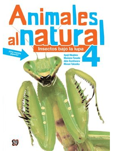 Animales Al Natural 4 Insectos Bajo La Lupa 1