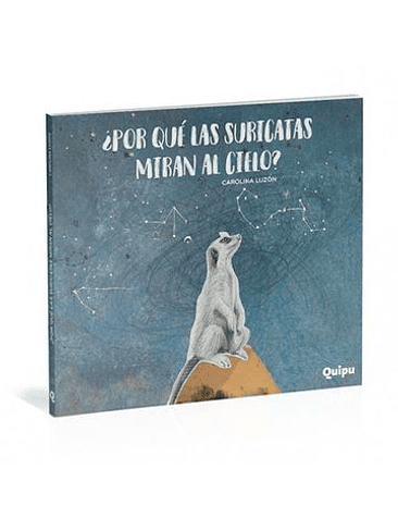 Porque Las Suricatas Miran Al Cielo 1