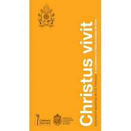 Christus Vivit Exhortacion Apostolica De S S Francisco