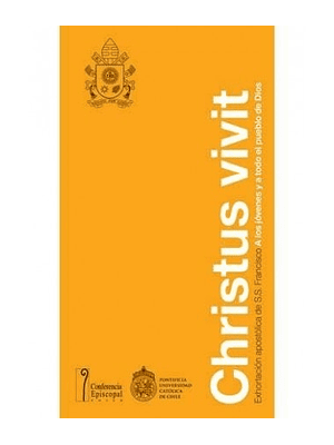 Christus Vivit Exhortacion Apostolica De S S Francisco