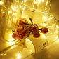 Corcho luces led alambre decoración - Miniatura 5