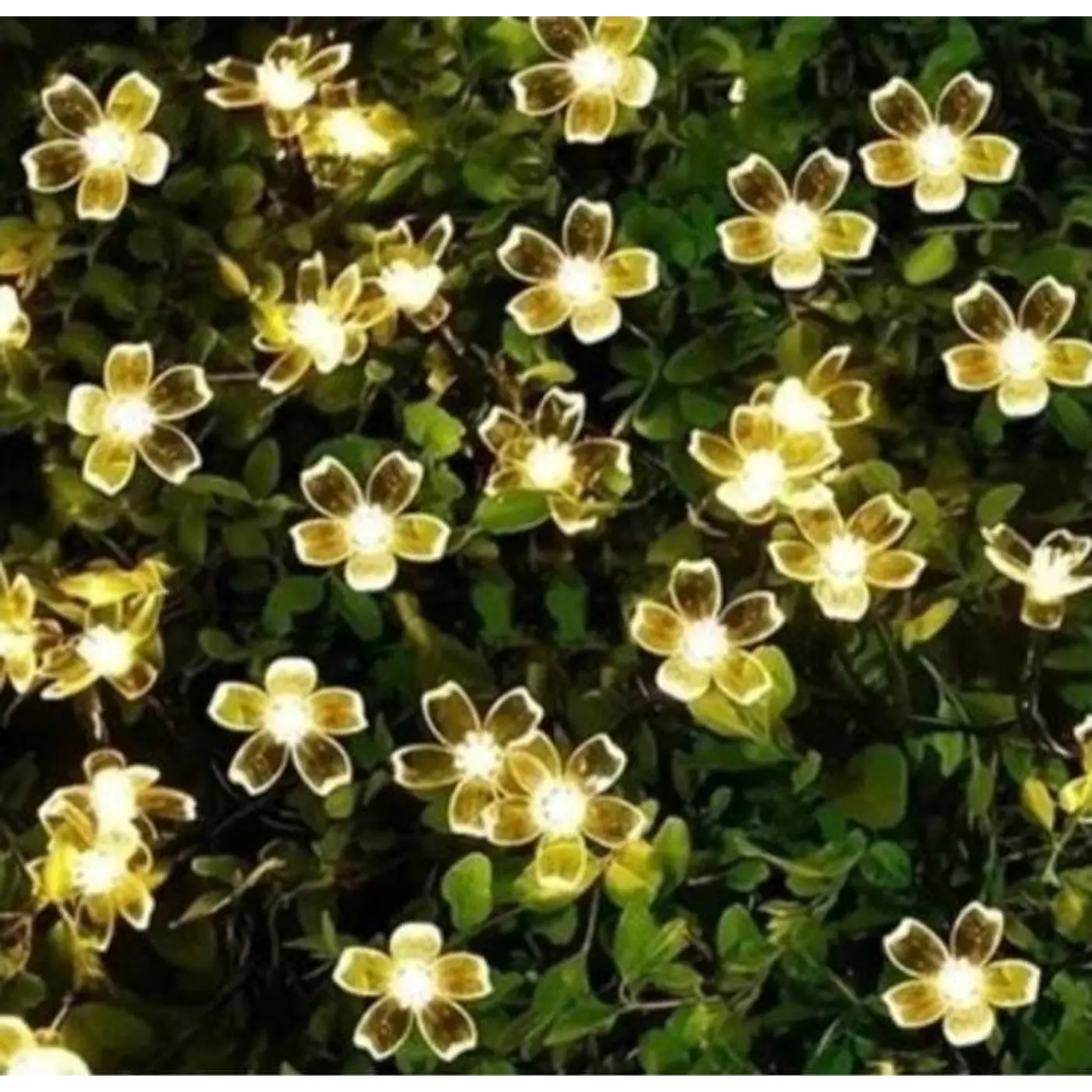 Luz Solar Flores 30 Led 6 Metros 1