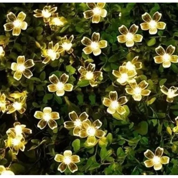 Luz Solar Flores 30 Led 6 Metros 1