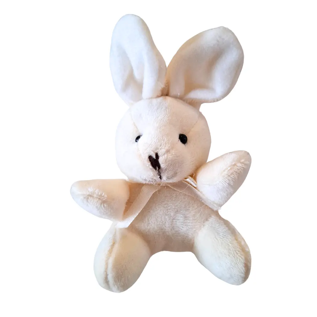 12 Llaveros de conejo de pascua 7