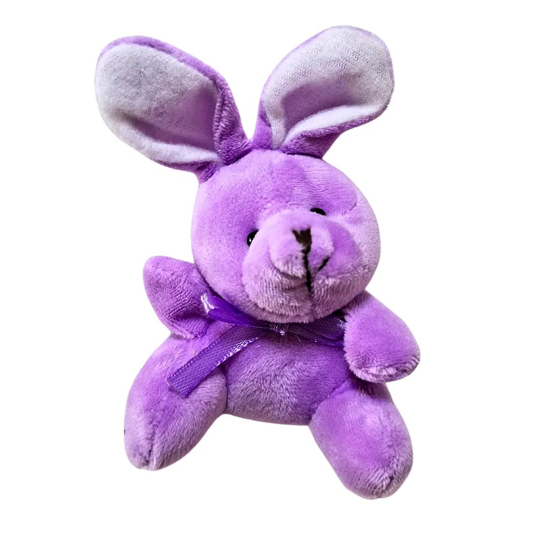 12 Llaveros de conejo de pascua 6