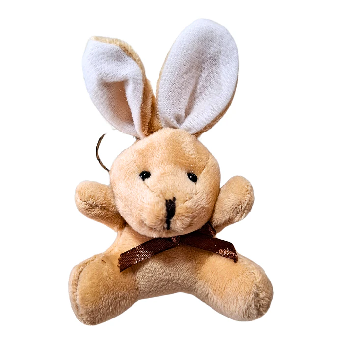 12 Llaveros de conejo de pascua 8