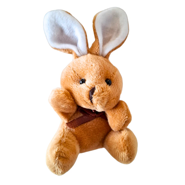 12 Llaveros de conejo de pascua 5