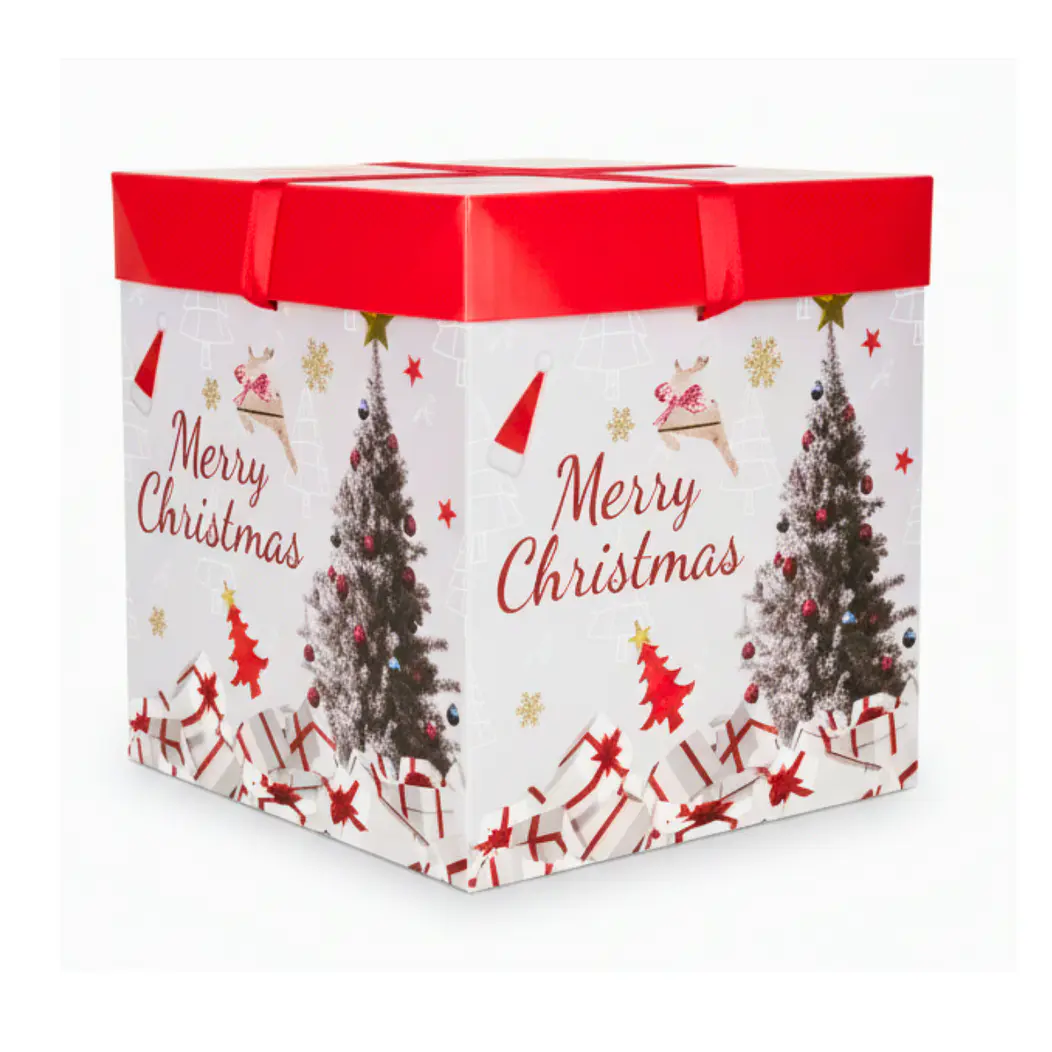 Cajas de Navidad 22cm (12pcs) 8