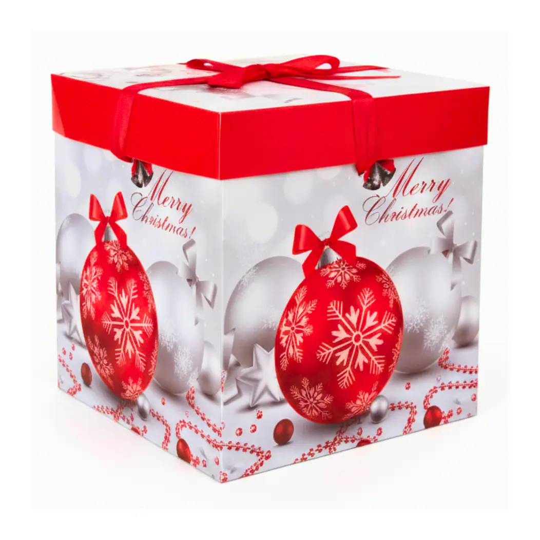 Cajas de Navidad 22cm (12pcs) 10