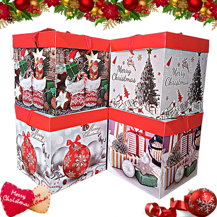 Cajas de Navidad 22cm (12pcs) 1