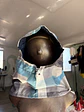 Ice hood - Miniatura 1