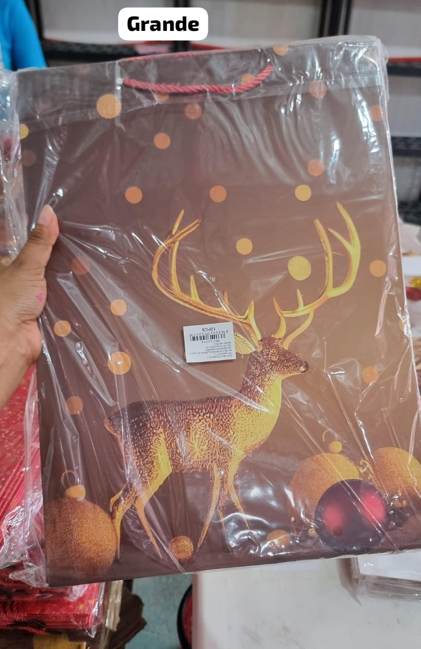 🛍️🫎 DOCENA BOLSA DE REGALO RENOS