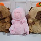 MOCHILA PELUCHE CAPYBARA CON FRUTA MOD# B-105 REINGRESO - Miniatura 2