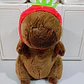 PELUCHE CAPIBARA CON FRAZADA #330 O #019 - Miniatura 6