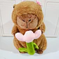 PELUCHE CAPIBARA CON FRAZADA #330 O #019 - Miniatura 2
