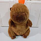 PELUCHE CAPIBARA CON FRAZADA #330 O #019 - Miniatura 9