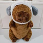 PELUCHE CAPIBARA CON FRAZADA #330 O #019 - Miniatura 10