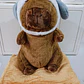 PELUCHE CAPIBARA CON FRAZADA #330 O #019 - Miniatura 12