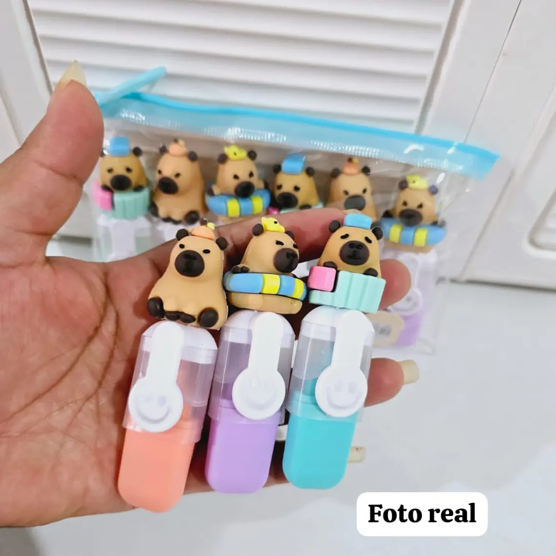 BOLSITA CON 6 MINI MARCATEXTOS DISEÑO CAPYBARA 4