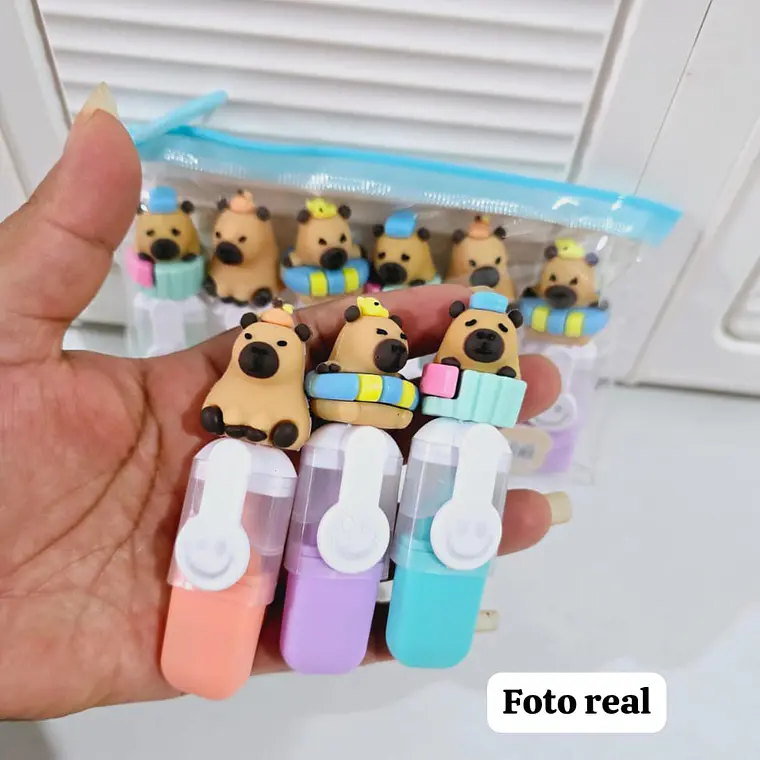 BOLSITA CON 6 MINI MARCATEXTOS DISEÑO CAPYBARA 4