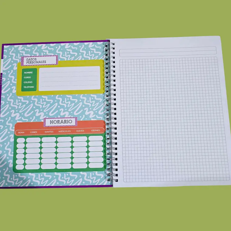 (CUADRO CHICO)LIBRETA PROFESIONAL PASTA DURA CON 100 HOJAS COLORES LISOS MOD# AL9128 9