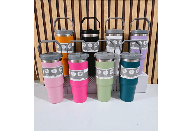 TERMO VACUUM INSULATED 890ML CON ASA DE MANO