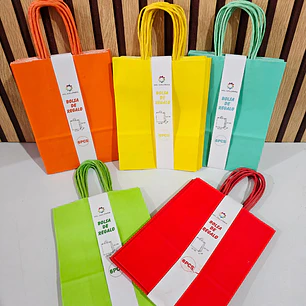 PAQ DE 6 BOLSAS DE REGALO/COLORES LISOS VARIOS MODELOS (22X16CM)🎁🛍️