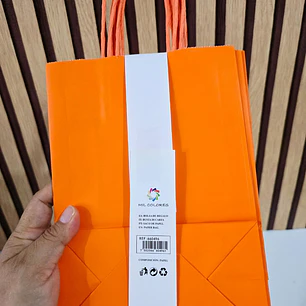 PAQ DE 6 BOLSAS DE REGALO/COLORES LISOS VARIOS MODELOS (22X16CM)🎁🛍️
