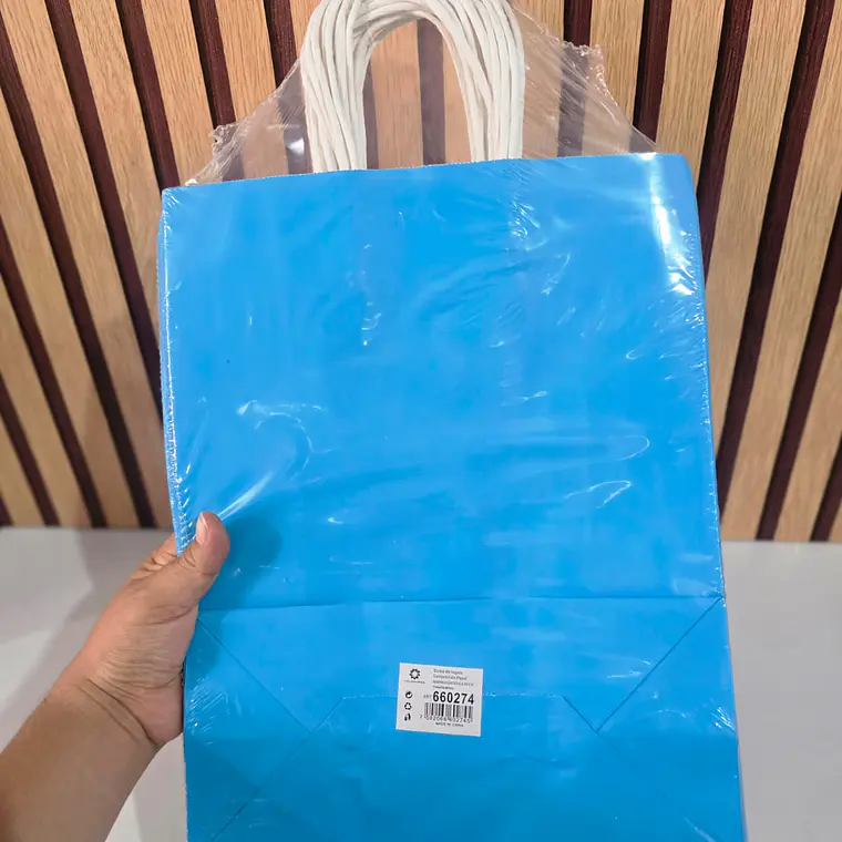 PAQ DE 12 BOLSAS DE REGALO/COLORES LISOS VARIOS MODELOS (33X26CM)🛍️ 2