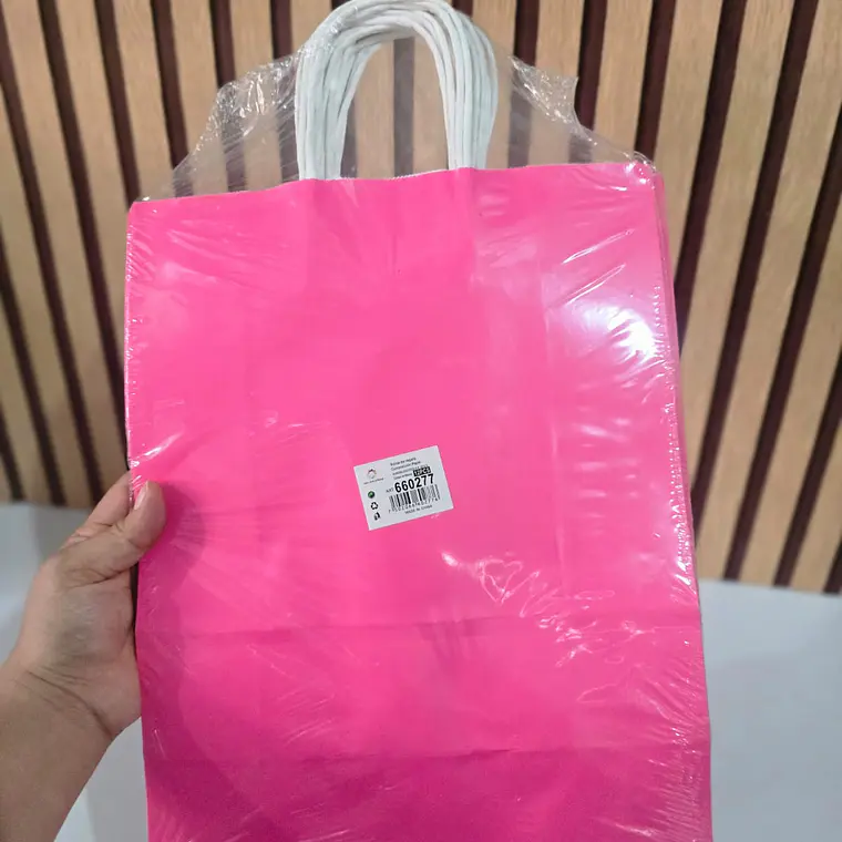 PAQ DE 12 BOLSAS DE REGALO/COLORES LISOS VARIOS MODELOS (33X26CM)🛍️ 3