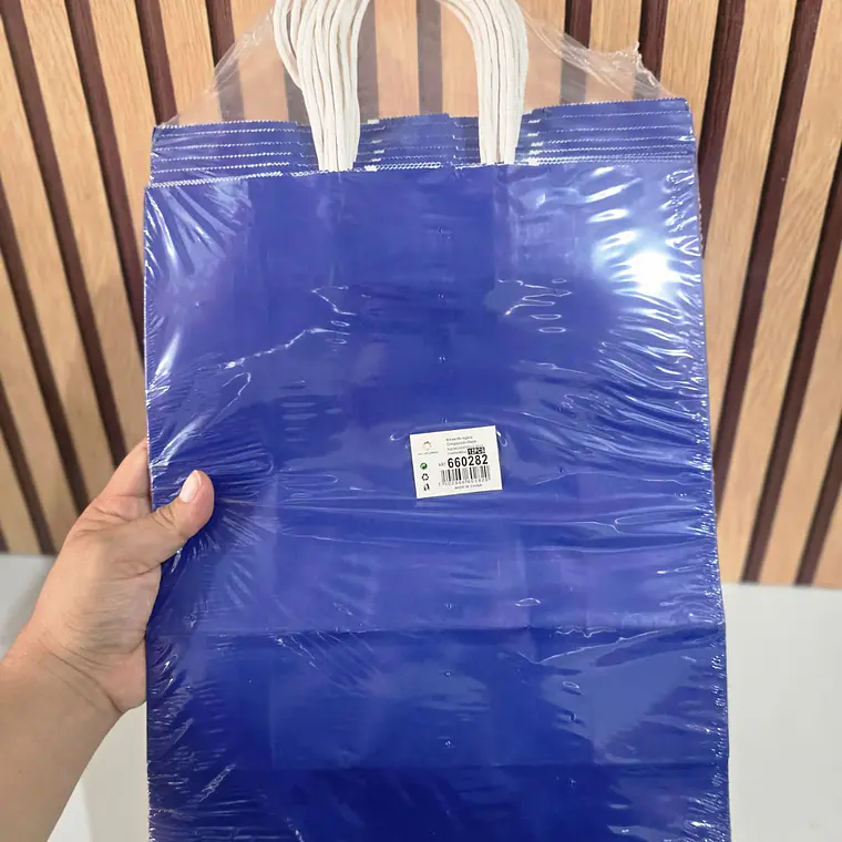 PAQ DE 12 BOLSAS DE REGALO/COLORES LISOS VARIOS MODELOS (33X26CM)🛍️ 4