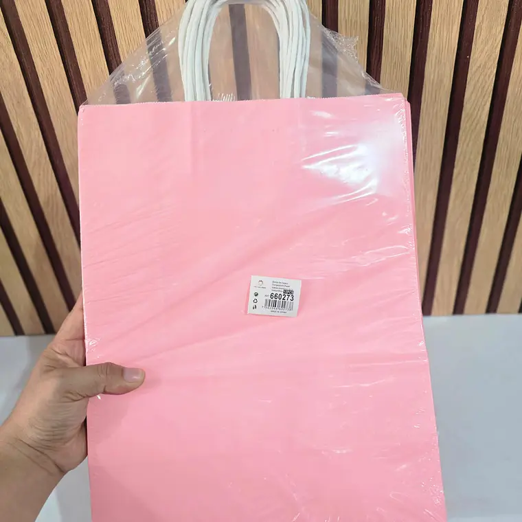 PAQ DE 12 BOLSAS DE REGALO/COLORES LISOS VARIOS MODELOS (33X26CM)🛍️ 5