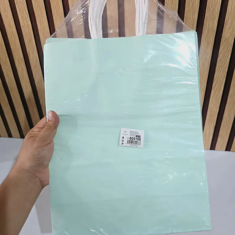 PAQ DE 12 BOLSAS DE REGALO/COLORES LISOS VARIOS MODELOS (33X26CM)🛍️ 10