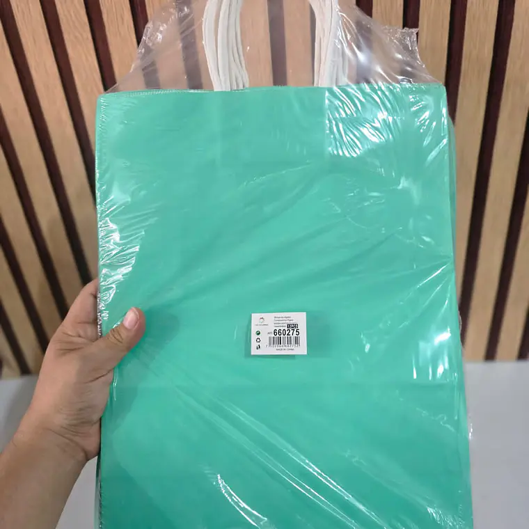 PAQ DE 12 BOLSAS DE REGALO/COLORES LISOS VARIOS MODELOS (33X26CM)🛍️ 8