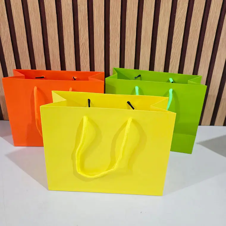 DOCENA DE BOLSAS PARA REGALO COLORES LISOS VARIOS MODELOS(18CM X 23CM) 1