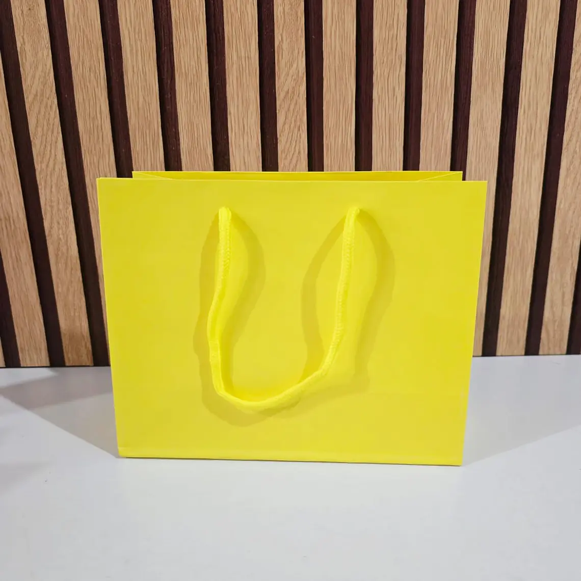 DOCENA DE BOLSAS PARA REGALO COLORES LISOS VARIOS MODELOS(18CM X 23CM) 3