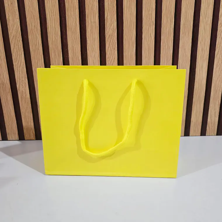 DOCENA DE BOLSAS PARA REGALO COLORES LISOS VARIOS MODELOS(18CM X 23CM) 3