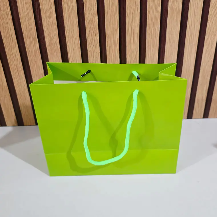 DOCENA DE BOLSAS PARA REGALO COLORES LISOS VARIOS MODELOS(18CM X 23CM) 4