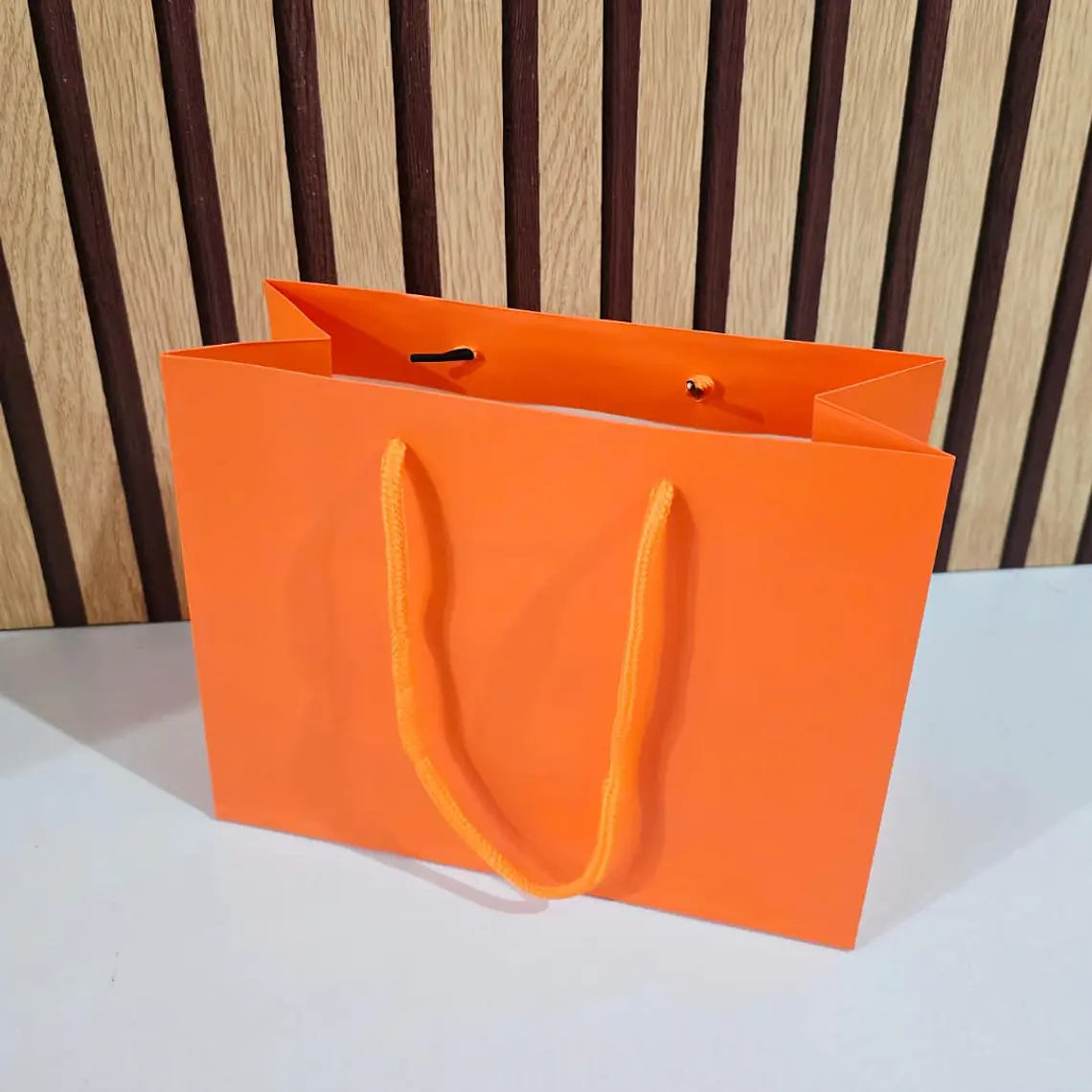 DOCENA DE BOLSAS PARA REGALO COLORES LISOS VARIOS MODELOS(18CM X 23CM) 6
