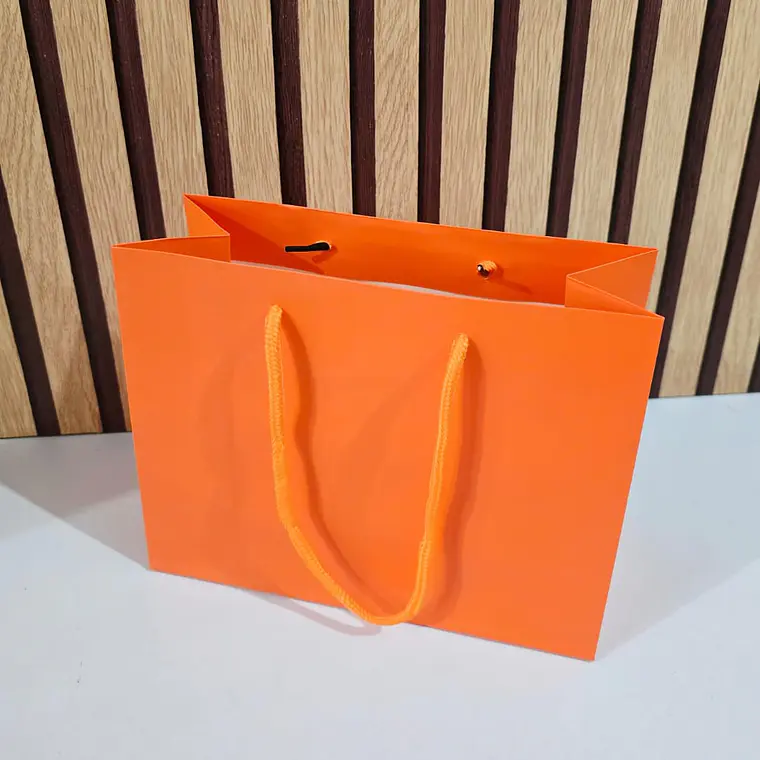 DOCENA DE BOLSAS PARA REGALO COLORES LISOS VARIOS MODELOS(18CM X 23CM) 6