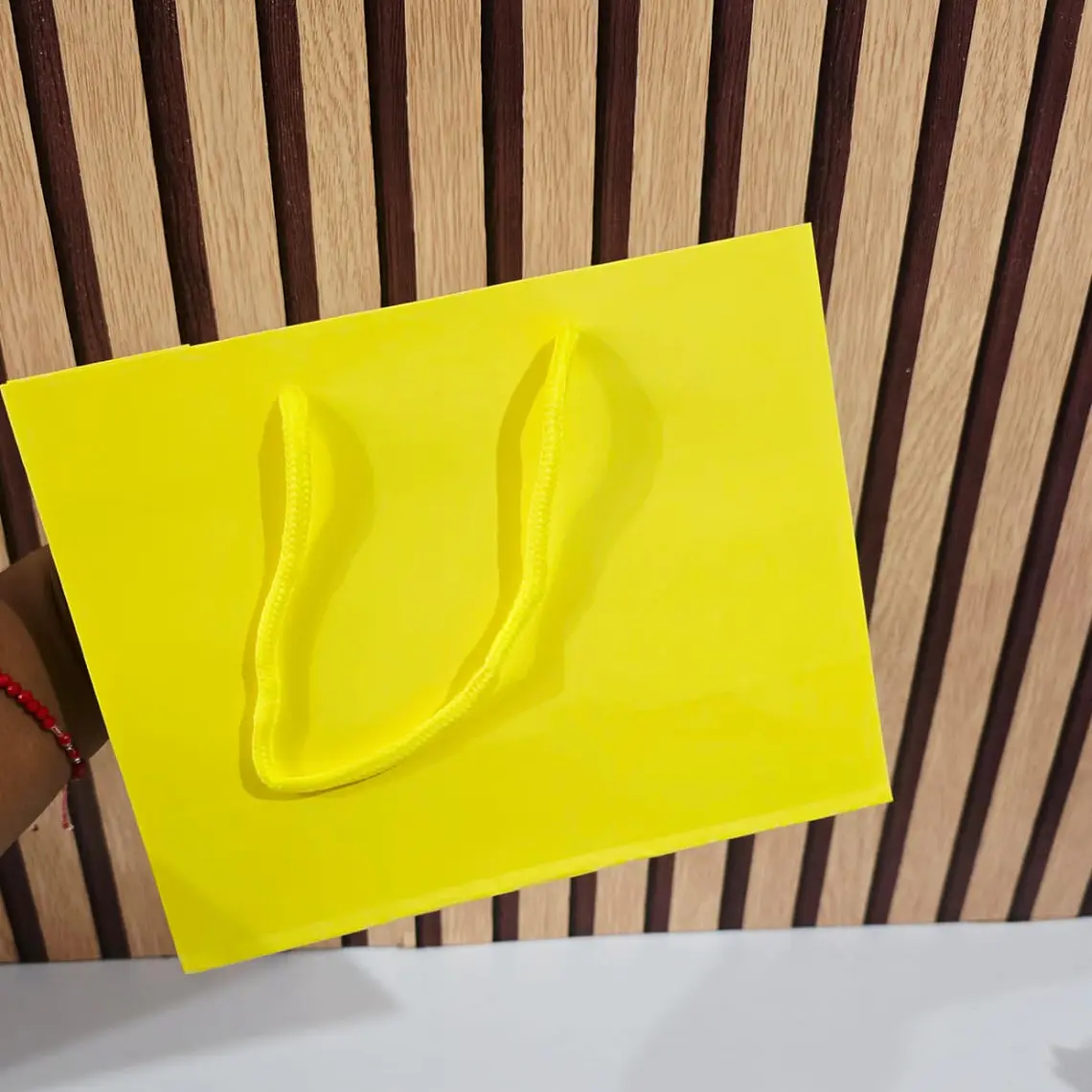 DOCENA DE BOLSAS PARA REGALO COLORES LISOS VARIOS MODELOS(18CM X 23CM) 7