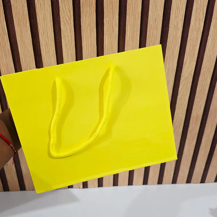 DOCENA DE BOLSAS PARA REGALO COLORES LISOS VARIOS MODELOS(18CM X 23CM) 7