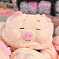 2 EN 1 ALMOHADA/FRAZADA DISEÑO CERDITO  🐷 - Miniatura 5