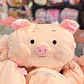 2 EN 1 ALMOHADA/FRAZADA DISEÑO CERDITO  🐷 - Miniatura 6