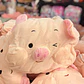 2 EN 1 ALMOHADA/FRAZADA DISEÑO CERDITO  🐷 - Miniatura 7