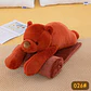 PELUCHE CON FRAZADA DISEÑO OSO MOD# 026 - Miniatura 4