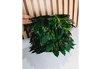 10 MTS ROLLO DE ESCARCHA NAVIDEÑA HOJAS (VERDE) MOD# 7201 🍀🍂